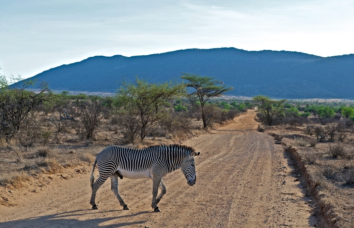 Tours in Africa